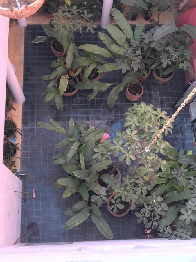 Meson San Felipe Aparthotel Guadalajara Buitenkant foto